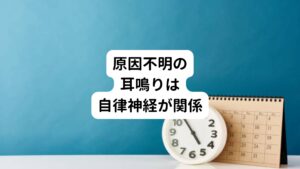 しかし、耳鳴りの原因が特定できないものも多くあります。
その場合、一番考えられるのがストレスの蓄積です。

ストレスによって自律神経の調節が崩れることで耳鳴りを発症させています。
この自律神経の乱れは、さまざまな症状をもたらしますが、その中で耳鳴りも症状の一つと考えられます。