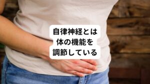 自律神経とは人間の意志とは関係なく24時間休むことなく身体機能を調整している神経をさします。
心身を活発にする交感神経と、落ち着かせる副交感神経のふたつが、シーソーのようにバランスを取りながら調整をおこなっています。