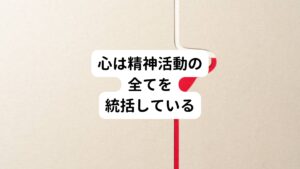 東洋医学で心は心臓としての血液循環機能だけでなく、精神活動の全てを統括する、こころの働きがあると考えます。
そのため心が病むと睡眠障害の中でも「寝つきが悪い」「眠りが浅い」「小さな音で目が覚める」といった、入眠・覚醒の両面での不眠症状が起こります。