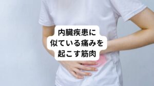 他にも脇腹や肋骨部分の痛みの原因になる筋肉には前鋸筋と広背筋があります。

前鋸筋にトリガーポイント(痛みのこり)があると、内臓疾患に似ている強い痛みを起こします。
また前鋸筋は肩甲骨や広背筋と連携して肩関節の動きに関わっていいます。
そのため不良姿勢が続くと筋肉の緊張や血行不良が起こりやすくなります。
この不良姿勢の状態でゴルフやキャッチボールなど身体を捻る動作をすると痛める可能性があります。

これらの筋肉は頚椎からの神経の支配を受けており、頭を前に突き出すような猫背姿勢で影響をうけます。
また、筋肉の付着部である背中が丸まって生じる、胸椎や肋骨の可動制限によって筋肉のはたらきやバランスが悪くなります。