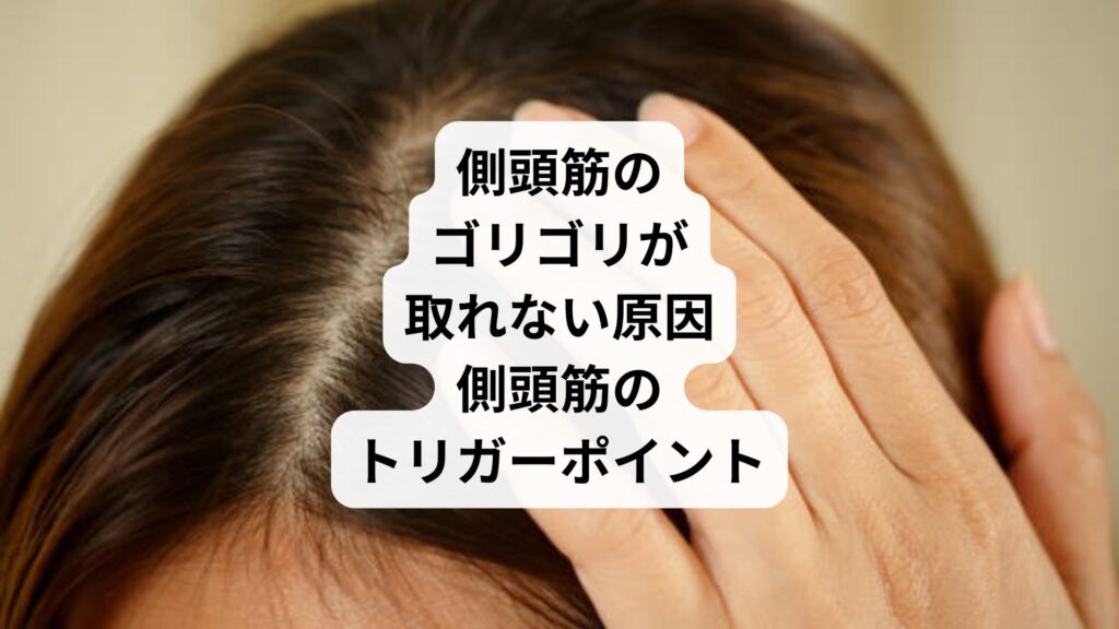 側頭筋のゴリゴリが取れない原因｜側頭筋のトリガーポイント