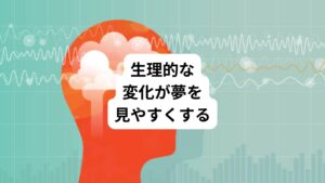 浅い眠りの段階では心拍数や呼吸が比較的安定しています。
そのため外部の刺激に対する感受性が高い状態になっています。
これによりちょっとした音や動きで目が覚めてしまうことがあります。
この間に夢を見ていた場合、その夢の内容を覚えている可能性が高くなります。
またレム睡眠中は身体の筋肉が一時的に麻痺状態になります。
眼球が急速に動くなど、独特の生理的変化が同時に起こります。
この反応が起こると夢がより鮮明でリアルに感じられるようになります。