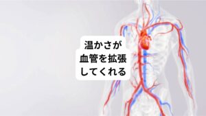 血流が悪くなると体にさまざまな不調が起こるといいます。
血行不良は血管が収縮した状態です。
しかし、血管は温めると拡張し血流が良くなる性質を持ちます。
実はホットタオルの温かさには血管を広げて血流が高まる効果があります。