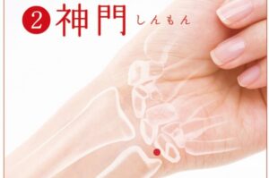 【ツボの場所】
小指側の腱の内側で手首のしわの真上にある
【ツボの効果】
精神面をコントロールしてくれる有名なツボです
不安感だけでなく倦怠感がある場合にも効果あり
自律神経の働きを整えます
【刺激方法】
深呼吸をしながら少し弱めの強さで親指でゆっくり指圧する