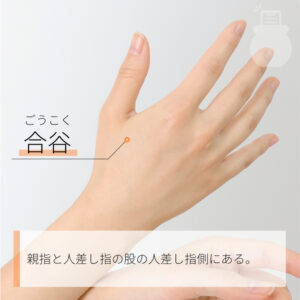 【合谷の場所】
手の親指と人差し指の骨が交わるところ、少し人差し指寄りのへこんだところにある
押すとズーンと痛いくぼみで、反対側の手の親指でツボを押してみて下さい
【合谷の効果】
生理を来させるツボです。
少し強めに刺激をしてみてください。
手の甲にあるツボで、手軽にツボ押しができるため、万能のツボといわれていて、生理痛だけでなく頭痛や肩こりにも効果的です。