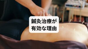 病院の検査で「異常なし」と言われた、あるいは「薬だけに頼りたくない」という方に選ばれているのが**東洋医学(鍼灸治療)**です。
乱れた自律神経のスイッチを整える
鍼灸は、手足や背中の特定のツボを刺激することで、過剰に働いている交感神経を静め、リラックスを司る副交感神経を活性化させます。
「気・血」の流れを改善し、体質を変える
東洋医学では、吐き気を「胃の気の逆流」、冷や汗を「生命エネルギー(気)の漏れ」と捉えます。体質そのものを底上げすることで、電車という環境変化に負けない、タフでしなやかな体作りを目指します。