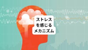 ストレスとは、外部からの刺激によって生じる体の緊張状態のことです。
この緊張状態が心身にゆがみを起こします。

この外部の刺激はさまざまなものがあります。
・人間関係
・暑さや寒さ
・騒音
・病気やケガ
・不安やイライラ
・仕事上の問題

このような外部からの刺激が脳に伝わると扁桃体が反応し、その刺激が心地いい刺激なのか不快な刺激なのかを評価します。
この時に扁桃体が不快と評価すると、ストレスホルモンが分泌され、体や心にさまざまなストレス反応があらわれるようになります。