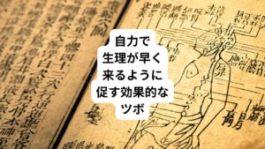 東洋医学の領域では経穴(けいけつ)と呼ばれるツボを刺激することで体のバランスを整えて内臓や器官の働きを正常化させることができます。
今回は生理に関わる自力で刺激できるツボについて解説したいと思います。