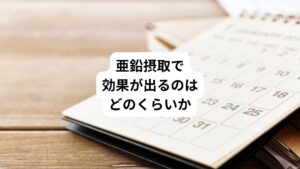 亜鉛の効果が出るまでの時間は個人差があります。
一般的には、亜鉛の効果の実感が得られるまでには「数週間から数か月の摂取が必要」とされています。
ただし、体質や亜鉛不足の度合い、摂取量や摂取方法などによってもバラツキがあります。
