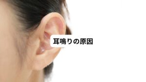 耳鳴りの原因は様々な原因が考えられます。
主に内耳の疾患が原因で発生する場合が多いです。
その他にも以下のような原因で発生することがあります。
・交通事故
・誤ったイヤホンの使用
・外傷性のもの
・加齢によるもの
・高血圧
・脂質異常症
・脳の疾患
・女性ホルモンの異常
・肩こり
このように幅広い原因で耳鳴りは起こります。
以上のような原因ではない場合には、慢性疲労や精神的ストレスなどが原因の可能性があります。