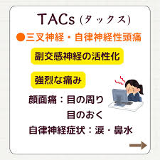 最近では三叉神経(眼神経)と自律神経が関係した頭痛(TACS タックス)という新しい頭痛が注目されています。
この頭痛は「顔面、目の周り、頭部に分布する三叉神経と、首から後頭部にかけて分布する後頭神経や頸部交感神経(自律神経)が痛みに関係している」というものです。
これらの神経が何らかの原因で刺激されるとそれが誘因となって激しい頭痛が起こします。
この三叉神経と自律神経が関係した頭痛は日本頭痛学会が監修する国際頭痛分類第3版(ICHD-3)で提唱されている公式の病態です。