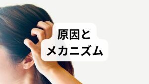 夏特有の環境は、私たちが思っている以上に自律神経に大きな負担をかけています。主な原因は以下の3つです。

① 激しい気温差（クーラー病・冷房病）
猛暑の屋外から冷房がガンガンに効いた室内に戻ると、体は急激な変化に対応しようとします。この1日に何度も繰り返される温度差の調節により、自律神経が限界を迎えてしまいます。

② 熱帯夜による睡眠不足
寝苦しい夜が続くと睡眠の質が低下します。通常、夜間は心身をリラックスさせる「副交感神経」が優位になり自律神経を休ませますが、眠りが浅いと自律神経が十分に休まらず、翌朝も疲労が残ったままになってしまいます。

③ 夏特有の不規則な生活や食生活
夏休みやイベントによる生活リズムの変化、また「冷たいものの摂りすぎ」による胃腸の冷えも原因です。胃腸の働きは自律神経と直結しているため、消化不良が起きると自律神経のバランスもさらに崩れやすくなります。