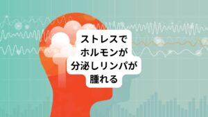 持続的にストレスを感じると、脳から、ステロイドホルモンや神経伝達物質が分泌されます。
これらのホルモンによって白血球中のリンパ球や細胞の働きを低下します。
そのため、免疫機能が低下して体内にウイルスや細菌などの異物が侵入しやすくなるのが理由の一つとしてあげられます。
リンパが異物から身体を守るために攻撃することでリンパ節が腫れます。