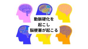 暑さにさらされると血管内皮細胞がダメージを受けて動脈硬化が起こりやすくなります。
結果的に脳梗塞を引き起こしやすくなります。
血管内皮細胞とは血管の内側をおおっている薄い細胞の層で、全ての血管に存在しています。
以下のような働きを持っています。
・酸素や栄養素を細胞に届ける
・血中の不要な物質を取り除く
・血管の拡張や収縮を調整する