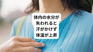 人間は体が熱を産み出す働き(産熱)と体から熱を逃がす働き(放熱)のバランスで体温を調節しています。
体温より気温が高い場合には、汗を出して気化することで体温を平常に保ちます。
熱中症の初期段階では、汗が出ているため体温の上昇が伴わないこともあります。
しかし、大量の汗をかいて体内の水分が失われると、それ以上汗をかくことができなくなり体温が上昇します。
熱中症によって体温が上昇する状況は、汗をかくことによる体温調節機能が失われている状態です。
悪化すると生命の危機的ラインとされる42℃を超える高熱につながることもあります。