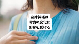 本来、自律神経のリズムは昼間に交感神経が優位になり、夜は副交感神経が優位に切り替わります。
しかし、精神的なストレス、過労による肉体疲労、睡眠不足、偏った食生活など乱れた生活習慣を続けていると、自律神経の働きが狂ってしまい、心身に様々な不調が現れます。
自律神経は変化が苦手であるため、少しの変化でもバランスが崩れる特徴があります。
夏は外気温と室内温度の差が激しい、熱帯夜でよく眠れない、食欲も低下するなど変化の激しい季節であるため、自律神経は影響が受けやすい季節といえるでしょう。
このような影響が自律神経の乱れさせて夏バテを出現させてしまいます。