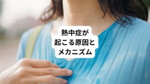熱中症は体温調節に不具合が起こり、身体に熱がこもることが発生の原因です。
仕事や運動で身体を動かすと、体内で熱がつくられ体温が上がります。
この熱に対して身体は汗をかいたり、体の表面から熱を逃がしたりすることで体温を調整します。
しかし気温や湿度が高い場所で重労働や激しい運動をすると、体内の熱が外に逃げにくくなります。
これにより体温はさらに上がってしまい、大量の汗をかくようになり体内の水分や塩分が不足します。
水分や塩分の不足により血行循環が悪くなることで体の表面から熱がうまく逃げなくなり熱中症が引き起こされます。
