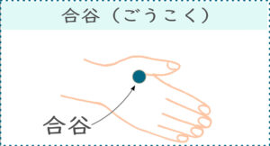 【ツボの場所】
親指と人差し指の間を閉じた時にできるシワの端にある。
※人差し指に向かって親指で刺激する。
【ツボの効果】
・目の疲れ
・頭痛
・首や肩のこり
