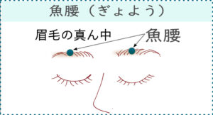 【ツボの場所】
眉毛の真ん中にある。
上に向けて親指で指圧しましょう。
【ツボの効果】
・目の充血
・まぶたのけいれん
・眼瞼下垂