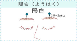 【ツボの場所】
眉毛の真ん中から2cmほど上にある。
小さな円を描くようにマッサージしましょう。
【ツボの効果】
・視力低下
・頭がぼーっとする
・頭痛