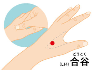 合谷は手の親指と人差し指の間にあるツボです。
この合谷を押すと、歯の痛みが軽減します。
左右両方のツボをゆっくりと指圧して刺激します。
