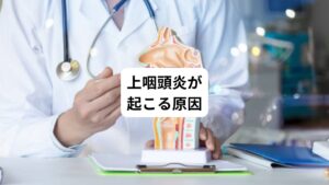 鼻とのどの間(鼻の奥の突き当たり)を上咽頭といいます。
この部位は以下の原因で上咽頭炎を引き起こします。
・細菌やウイルス感染
・体の冷え(とくに首の冷え)
・疲労
・ストレス
・空気の乾燥
・口呼吸