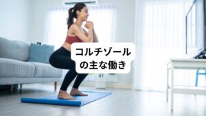 コルチゾールの働きは、ストレスに対抗するだけではありません。
・肝臓で糖をつくり出す
・脂肪を分解して代謝促進する
・免疫抑制、抗炎症作用を持つ
・筋肉でタンパク質を代謝する
このような働きを持つ、とても身体にとって重要なホルモンです。
またステロイド系の抗炎症剤としても広く利用されています。