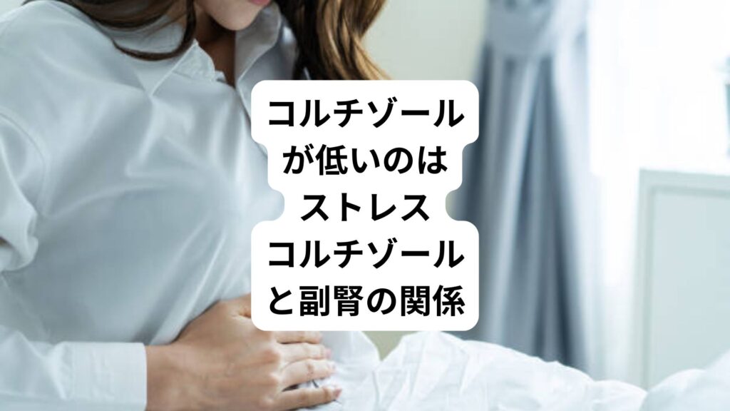 コルチゾールが低いのはストレス|コルチゾールと副腎の関係