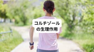 コルチゾールはヒト副腎で分泌される主要なステロイドです。
ストレスから生体を防御する働きがあり生命維持に必須のホルモンです。
グルココルチコイドという名は「グルコースの代謝調節作用を有する」ということから名づけられました。
しかし、実際は代謝系ばかりでなく免疫系、水・電解質・循環系に対しても多彩な作用を有しています。