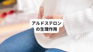 ミネラルコルチコイドの代表はアルドステロンです。
このミネラルコルチコイドが主に作用する臓器は腎臓です。
その他,腸管,汗腺,唾液腺にも作用してます。
ミネラルコルチコイドの基本的な作用は、ミネラルコルチコイド受容体を介して腎においてNaを再吸収し,Kの排泄を促進することです。
遠位曲尿細管のNa-Cl共輸送体と集合管のNaチャネルに作用し、Na+とK+およびNa+とH+の交換を促進させます。
腎、心機能が正常なヒトではミネラルコルチコイドによるNa貯留には限界があり,ミネラルコルチコイドの過剰が持続してもあるレベルでNa、水の出納が平衡状態に達しそれ以上のNa再吸収の増加と、それに基づくNa貯留はみられなくなります。
K+の尿中排泄増加は腎のNa再吸収と連動しており、遠位尿細管に達するNaの量が少ないと、ミネラルコルチコイドが多くても低カリウム血症はみられません。