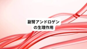 DHEA-SおよびDHEAは副腎アンドロゲンと呼ばれ、その90%以上が副腎で生合成される。
コルチゾール分泌が加齢によりほとんど変化しないのと対照的に副腎アンドロゲンは20歳以降、加齢とともに直線的に減少します。
DHEAはweak androgenであり、アンドロゲン作用はテストステロンの1/20程度です。
DHEAは生体内でテストステロンやエストラジオールへ変換して作用する一方、抗糖尿病、抗動脈硬化作用が独自の作用として報告されており、長寿ホルモンとも言われています。