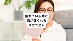 疲れている時に歯に痛みを感じるのは体がストレスや疲労に反応して過敏な状態になっていることが原因です。
この過敏な状態は自律神経のバランスが乱れさせてしまい、痛みに対する感受性が高まります。
これにより通常では気にならない刺激でも「痛み」として認識しやすくなります。
また、身体の緊張や血流の変化も、歯の違和感や不快感を引き起こす一因となります。