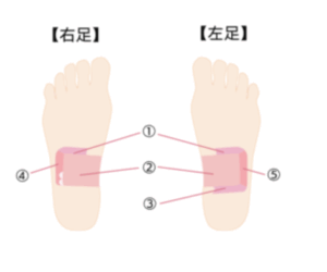 反射区とは足裏に集中すると考えられている、体の各器官と対応する部分を指します。
刺激すると対応する部分の不調が和らぐと言われています。
ツボ刺激と併用して腸の反射区を刺激することで、効果がアップします。
①横行結腸
②小腸
③直腸
④上行結腸
⑤下行結腸