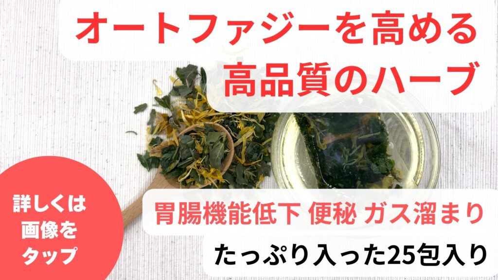 オートファジーは肝臓に悪い？｜オートファジーについて