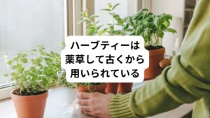 ハーブといえば有名なものだとミントやバジル、パセリ等食品の香り付けというイメージが強いという方が多いかもしれません。
しかし、ハーブは古くから薬草として世界各地で薬用、飲用、美容等、食用のみならず生活のあらゆる場面で使用されてきました。
それほどハーブには数多くの種類があり、それぞれ様々な効能を持っています。