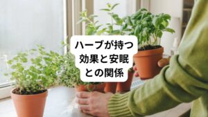 ハーブはさまざまな形で摂取できますが、お茶で摂取することが手軽でおすすめです。
また、ハーブの種類は非常に多く、代表的な効果としては、主に以下のようなものが挙げられます。
・安眠効果
・疲労回復
・冷え性改善
・消化促進
・抗菌や殺菌作用
それぞれの効果について、詳しく説明します。