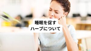 睡眠を誘う効果があるハーブは主にカモミールが挙げられます。
カモミールはリラックス効果があるアポゲニンという成分が含まれています。
このことから、カモミールは睡眠を誘うハーブという印象が根付いています。