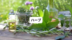 ハーブやアロマなどでも用いられるバレリアン(セイヨウカノコソウ)は、鎮静や催眠薬として知られています。
GABAへの作用などが考えられていますが、メカニズムは詳しくわかっていません。
ですが飲み初めて4~6週間までなら、睡眠の質と入眠を改善することが報告されています。
またビールに含まれているホップやハーブのレモンバームにも効果があるといわれています。
動物実験では効果は示されていますが、人に関してはまだ研究段階です。