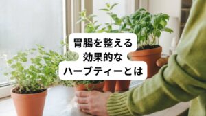 ハーブティーには消化を助け、胃腸を温める効果のあるものがたくさんあります。
以下のハーブティーを試してみましょう。