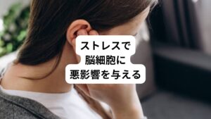 強いストレスを長期間に受けるとそれに耐えている内に心身に変調をきたしてきます。
そのまま放置していると自律神経失調症にうつの状態になりかねません。

長期にわたる職場のストレス、肉親の不幸や恐怖による強度のストレスを受けると特にビタミンCの消費が著しく脳細胞に影響を及ぼすことがあります。
こうなると精神不安定になり強い不安、焦燥感に襲われてくるのです。