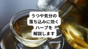 「悲しく気分が落ち込む」
「やる気が起きない」
「元気が出ない」
このような不調はないでしょうか。
そんな時は無理をせず、心身を癒す自然のハーブを使って気分転換しましょう。
今回は「自律神経のハーブ|うつや気分の落ち込みにおすすめ」と題して、うつや気分の落ち込みにおすすめのハーブを目的別に解説します。