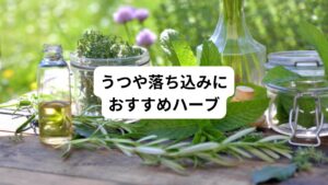 ハーブには抗うつ作用で気分を明るく高める働きがあるほか、悲しい気持ちを慰めたり、精神を安定させたり、気持ちを切り替えてリフレッシュしたり、心を元気にしたりする働きがあります。
うつや気分の落ち込みに効くハーブティーをご紹介します。
