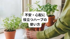 不安・心配に役立つハーブの使い方について解説します。