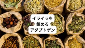 アダプトゲンは「天然の物質」を指します。
主にハーブや植物の根などに存在する物質のことです。
このアダプトゲンはストレスに対する抵抗力を高める作用を持つとして注目されています。

アダプトゲンを手軽に摂取できる方法があれば、より効果的なストレス解消の手段になります。
ハーブの種類は5,000種類以上といわれていますが、その中でアダプトゲンと呼ばれるものは20種類とごくわずかです。
代表的なアダプトゲンは以下のものです。
