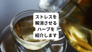 日常感じているストレスには、いろいろ種類があります。
・心理的ストレス
・身体的ストレス
・環境によるストレス
・寒冷などの天気によるストレス
以上のストレスが主に現代人に影響を与えているものです。
今回は「自律神経がととのう|ストレスを癒すハーブティー」と題して、鎮静作用でリラックスし、心身ともにストレスを癒やすハーブティーをご紹介します。