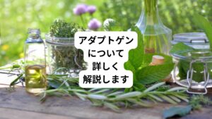 慢性的なストレスに起因する心身の不調に悩む人が近年増加傾向にあります。
その中で「アダプトゲン」と呼ばれるハーブに関心が高まっています。
アダプトゲンはストレスに対する適応力を高めストレスによって乱れた体の生理機能を正常化する作用があります。
疲れ、倦怠感、不眠、不安、気分の落ち込みなどを緩和し、精神と身体のエネルギーを高める働きをもつものです。
今回は、そんなアダプトゲンについてご紹介します。