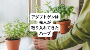 アダプトゲンという言葉が注目されるようになったのはここ最近のことです。
しかし、先人たちははるか昔からアダプトゲンのハーブを取り入れて心と体を癒やしてきました。
その魅力や活用法を知り、日々の健康管理に役立てていきましょう。