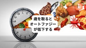 さらに、歳を取るとオートファジーの働きが鈍ってくることも分かってきました。
加齢性疾患と言って、歳を取ると様々な病気になりやすくなります。
アルツハイマー病などの神経変性疾患や加齢性黄斑変性、腎臓の線維化など加齢性疾患は沢山あります。
それらの病気の一部はオートファジーの低下が原因で起こっていたり、あるいはオートファジーの低下で病状が悪化しているかもしれません。