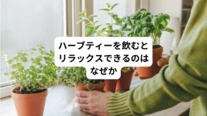 ハーブティーの豊かな香りやハーブに含まれる成分には、不安や緊張、イライラなどを緩和する効果があるといわれています。
そのため、ストレスを感じやすいときやメンタルが安定しないときは、日頃からハーブティーを飲むのがおすすめです。
また、ハーブにはさまざまな種類があり、抗酸化作用や美肌効果、整腸作用なども期待できます。
リラックスしたいときはもちろん、健康づくりの一環としてハーブティーを取り入れるのもおすすめです。