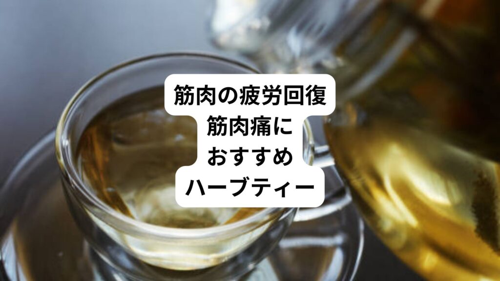 筋肉の疲労回復｜筋肉痛におすすめハーブティー